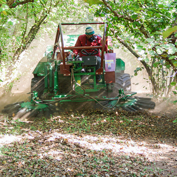 Traktor fährt durch den Wald, fegt Laub von der Erde und wirbelt Staub auf.